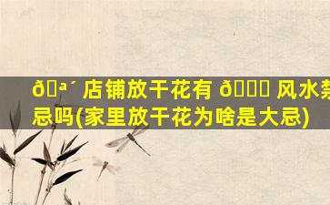 🪴 店铺放干花有 🐈 风水禁忌吗(家里放干花为啥是大忌)